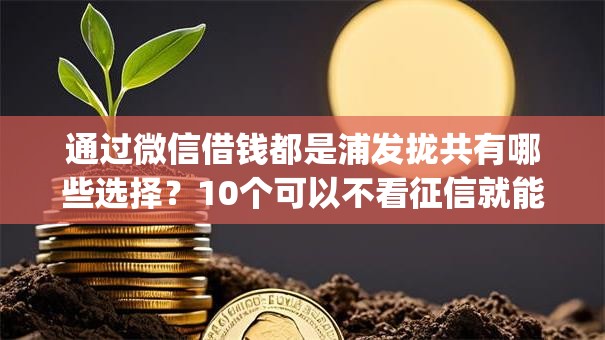 通过微信借钱都是浦发拢共有哪些选择？10个可以不看征信就能下款的app详解