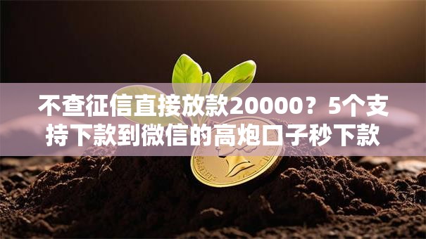 不查征信直接放款20000？5个支持下款到微信的高炮口子秒下款2025