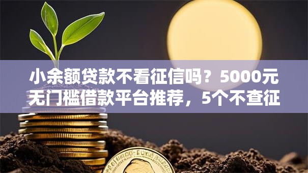 小余额贷款不看征信吗?5000元无门槛借款平台推荐,5个不查征信的借款平台百分百通过盘点 小余额贷款不看征信吗?5000元无门槛借款平台推荐,5个不查征信的借款平台百分百通过盘点