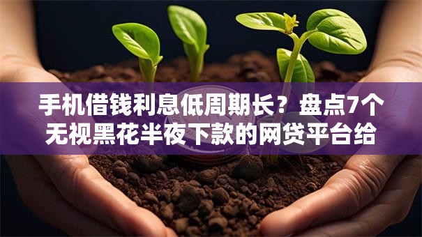 手机借钱利息低周期长？盘点7个无视黑花半夜下款的网贷平台给你参考