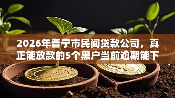 2026年普宁市民间贷款公司，真正能放款的5个黑户当前逾期能下款的口子推荐