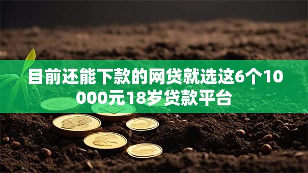 目前还能下款的网贷就选这6个10000元18岁贷款平台