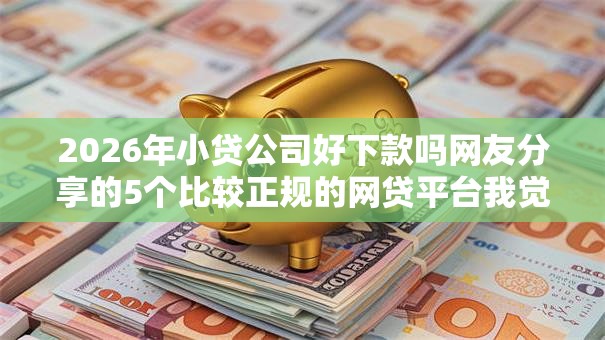 2026年小贷公司好下款吗网友分享的5个比较正规的网贷平台我觉得不错！