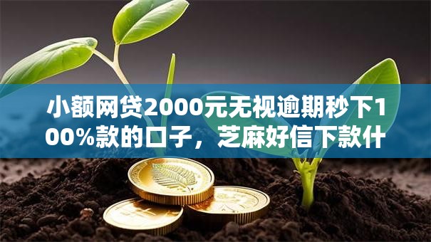 小额网贷2000元无视逾期秒下100%款的口子，芝麻好信下款什么流程的7个平台介绍