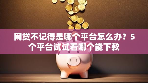 网贷不记得是哪个平台怎么办?5个平台试试看哪个能下款 网贷不记得是哪个平台怎么办?5个平台试试看哪个能下款