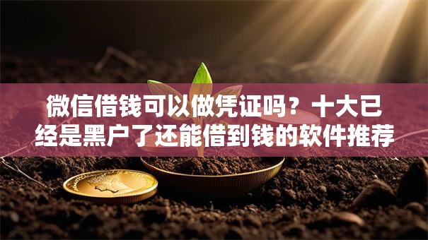 微信借钱可以做凭证吗？十大已经是黑户了还能借到钱的软件推荐