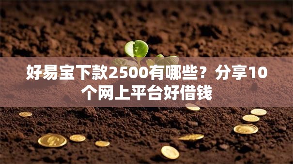 好易宝下款2500有哪些?分享10个网上平台好借钱 好易宝下款2500有哪些?分享10个网上平台好借钱