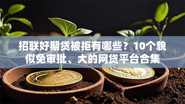 招联好期贷被拒有哪些？10个貌似免审批、大的网贷平台合集