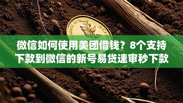 微信如何使用美团借钱？8个支持下款到微信的新号易贷速审秒下款app