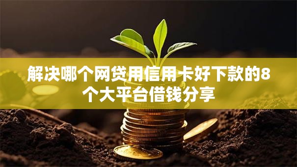 解决哪个网贷用信用卡好下款的8个大平台借钱分享