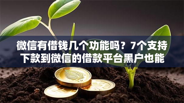 微信有借钱几个功能吗?7个支持下款到微信的借款平台黑户也能借款 微信有借钱几个功能吗?7个支持下款到微信的借款平台黑户也能借款