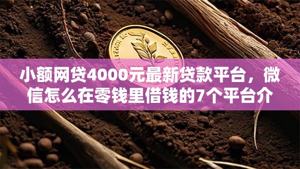 小额网贷4000元最新贷款平台，微信怎么在零钱里借钱的7个平台介绍