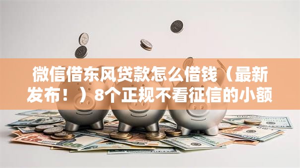 微信借东风贷款怎么借钱（最新发布！）8个正规不看征信的小额贷款口子
