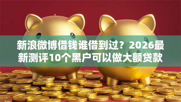 新浪微博借钱谁借到过？2026最新测评10个黑户可以做大额贷款平台