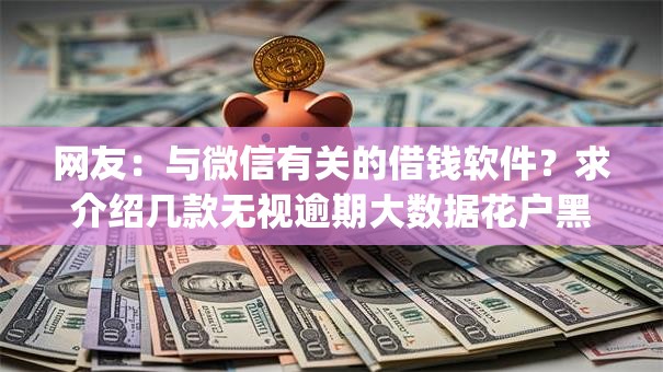 网友：与微信有关的借钱软件？求介绍几款无视逾期大数据花户黑户app