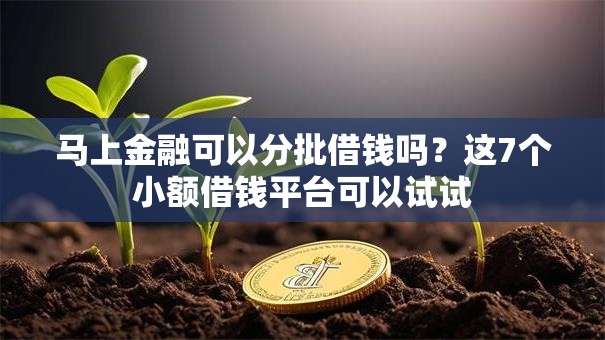 马上金融可以分批借钱吗？这7个小额借钱平台可以试试