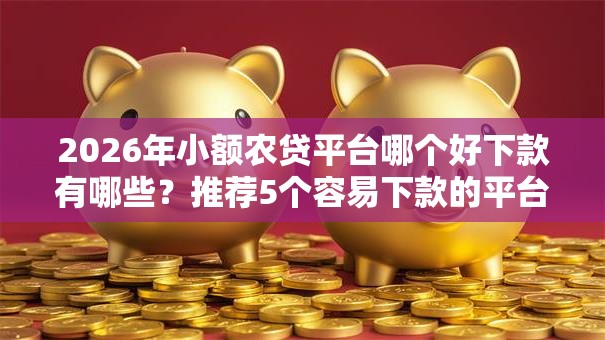 2026年小额农贷平台哪个好下款有哪些？推荐5个容易下款的平台