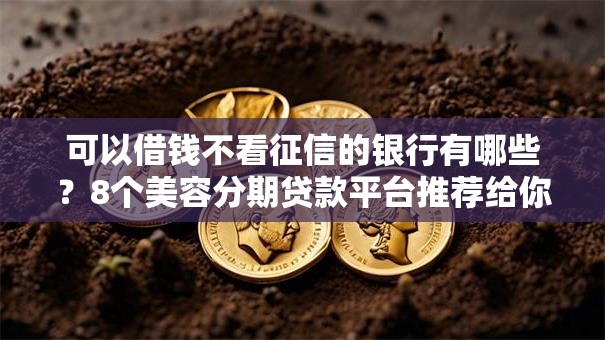 可以借钱不看征信的银行有哪些？8个美容分期贷款平台推荐给你