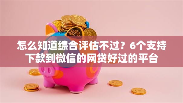 怎么知道综合评估不过？6个支持下款到微信的网贷好过的平台
