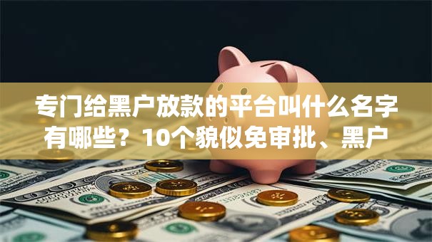 专门给黑户放款的平台叫什么名字有哪些？10个貌似免审批、黑户都能下的app合集