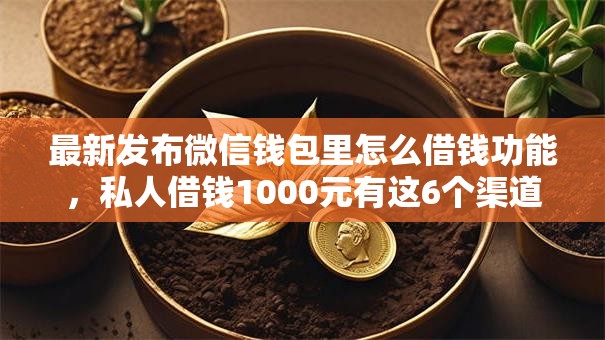 最新发布微信钱包里怎么借钱功能，私人借钱1000元有这6个渠道