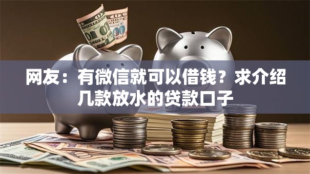 网友：有微信就可以借钱？求介绍几款放水的贷款口子