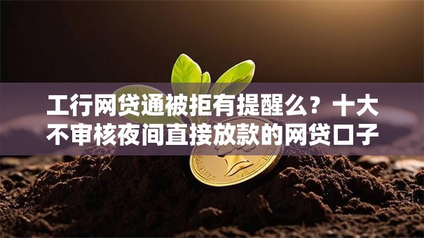 工行网贷通被拒有提醒么？十大不审核夜间直接放款的网贷口子推荐