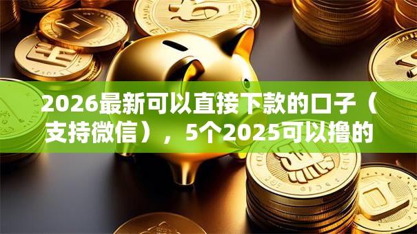 2026最新可以直接下款的口子（支持微信），5个2025可以撸的口子无私分享