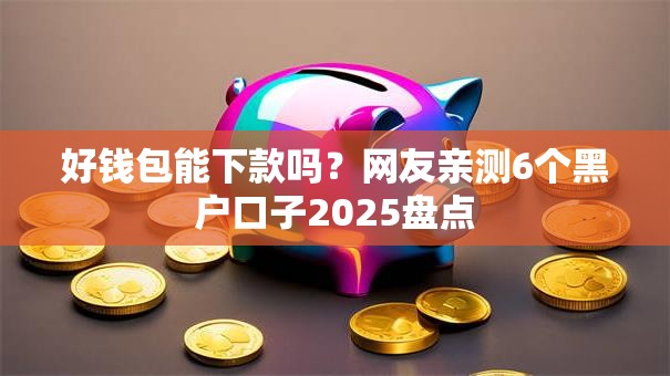 好钱包能下款吗？网友亲测6个黑户口子2025盘点