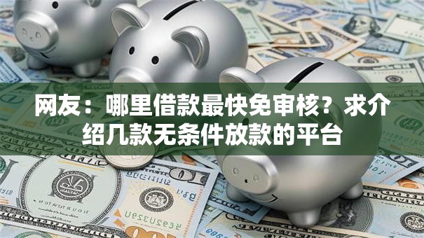 网友：哪里借款最快免审核？求介绍几款无条件放款的平台