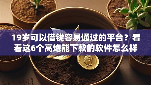 19岁可以借钱容易通过的平台？看看这6个高炮能下款的软件怎么样