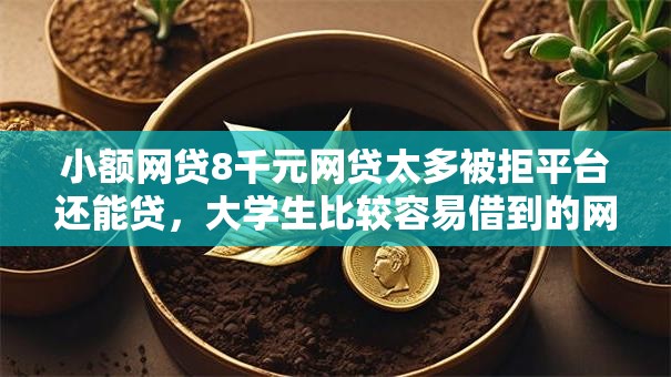 小额网贷8千元网贷太多被拒平台还能贷，大学生比较容易借到的网贷的6个平台介绍