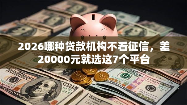 2026哪种贷款机构不看征信，差20000元就选这7个平台