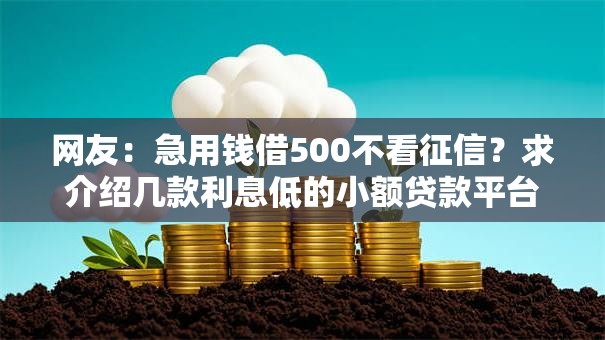 网友：急用钱借500不看征信？求介绍几款利息低的小额贷款平台