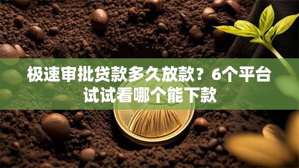 极速审批贷款多久放款？6个平台试试看哪个能下款