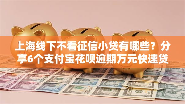 上海线下不看征信小贷有哪些?分享6个支付宝花呗逾期万元快速贷款口子 上海线下不看征信小贷有哪些?分享6个支付宝花呗逾期万元快速贷款口子