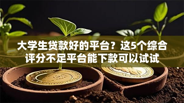 大学生贷款好的平台？这5个综合评分不足平台能下款可以试试