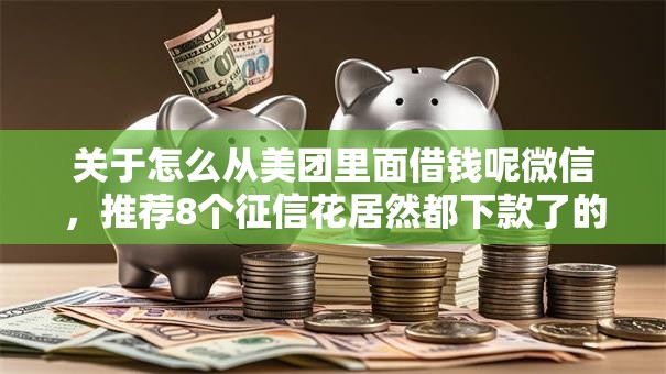 关于怎么从美团里面借钱呢微信，推荐8个征信花居然都下款了的软件给你