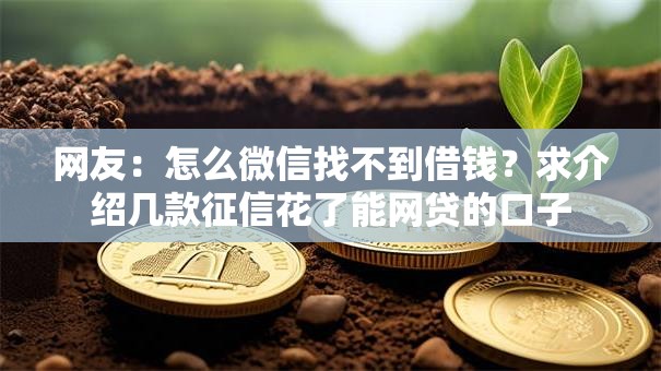 网友：怎么微信找不到借钱？求介绍几款征信花了能网贷的口子