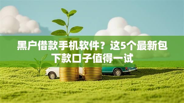黑户借款手机软件？这5个最新包下款口子值得一试