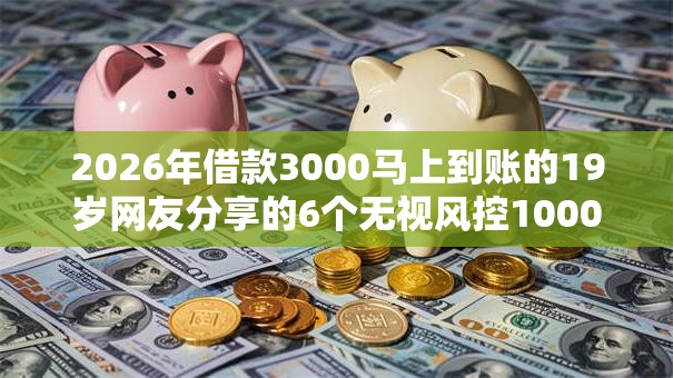 2026年借款3000马上到账的19岁网友分享的6个无视风控10000必下口子我觉得不错！