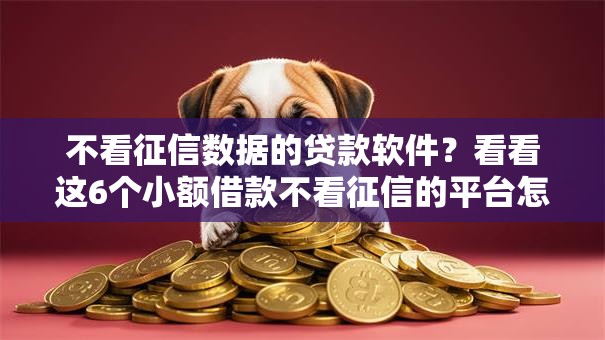 不看征信数据的贷款软件？看看这6个小额借款不看征信的平台怎么样