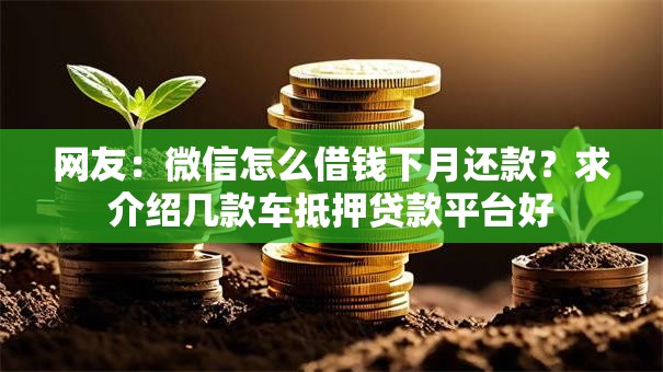 网友：微信怎么借钱下月还款？求介绍几款车抵押贷款平台好