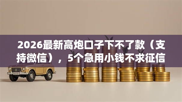 2026最新高炮口子下不了款（支持微信），5个急用小钱不求征信流水轻松贷的app无私分享