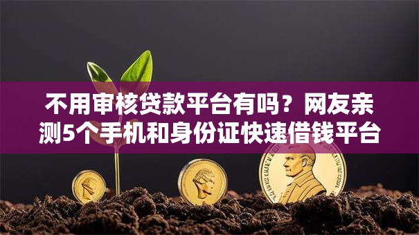 不用审核贷款平台有吗？网友亲测5个手机和身份证快速借钱平台盘点