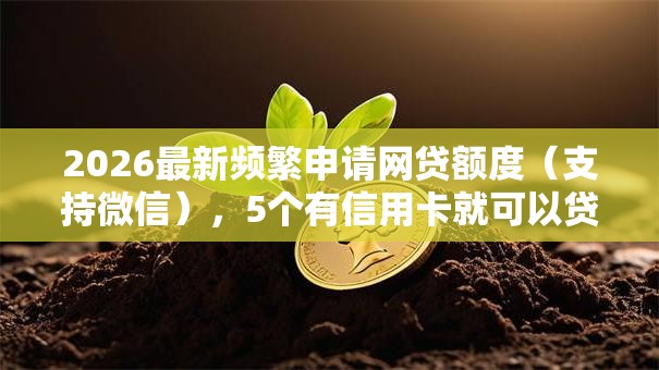 2026最新频繁申请网贷额度（支持微信），5个有信用卡就可以贷款的平台无私分享