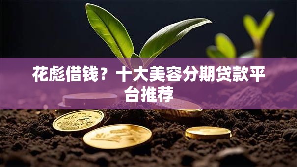 花彪借钱？十大美容分期贷款平台推荐