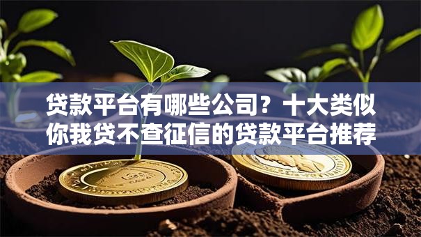贷款平台有哪些公司？十大类似你我贷不查征信的贷款平台推荐