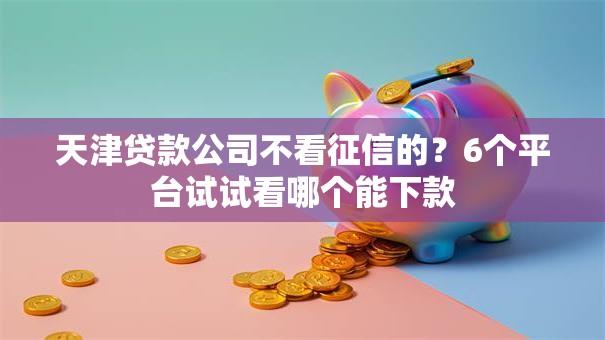 天津贷款公司不看征信的？6个平台试试看哪个能下款