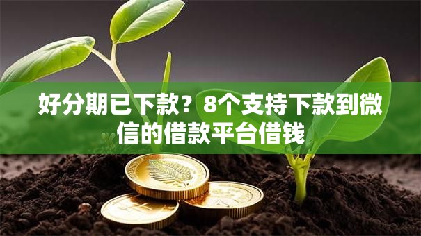 好分期已下款？8个支持下款到微信的借款平台借钱